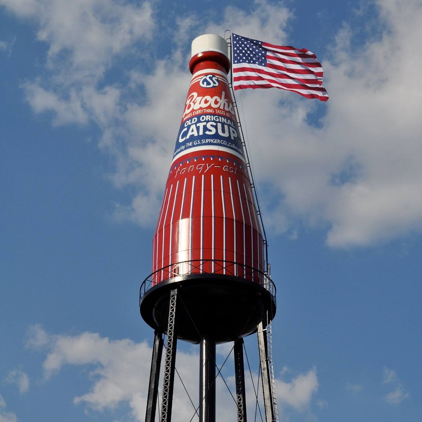 World's Largest Catsup Bottle Sculpture, world record near Collinsville