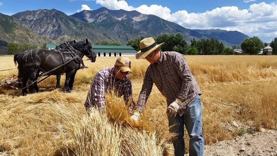 World's Largest Herb Farm & Distillery, world record in Mona, Utah
