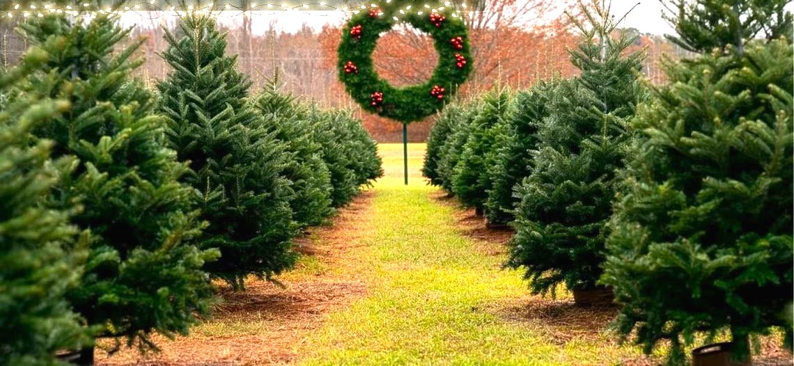 World's Largest Christmas Wreath, world record set in Maryland