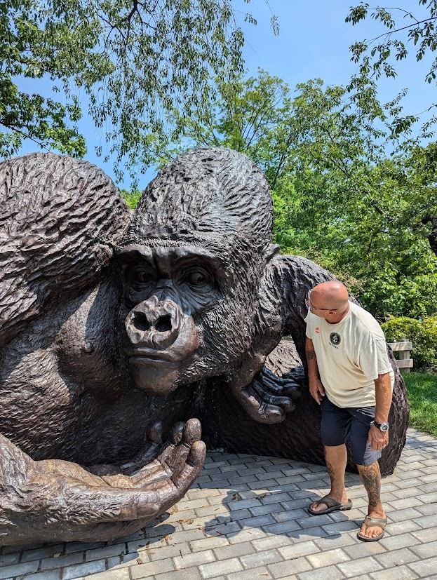 World’s Largest Bronze Gorilla Sculpture, world record set in Greenwich, Connecticut