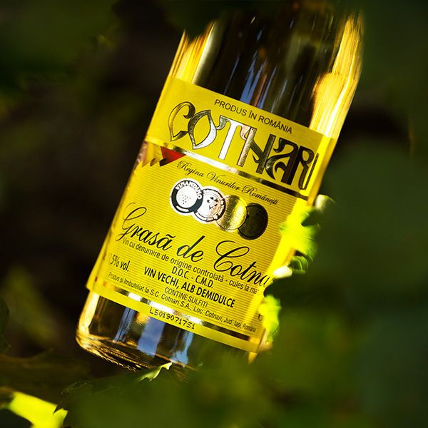 Most Awarded Wine, world record set by Romania's Cotnari Wine