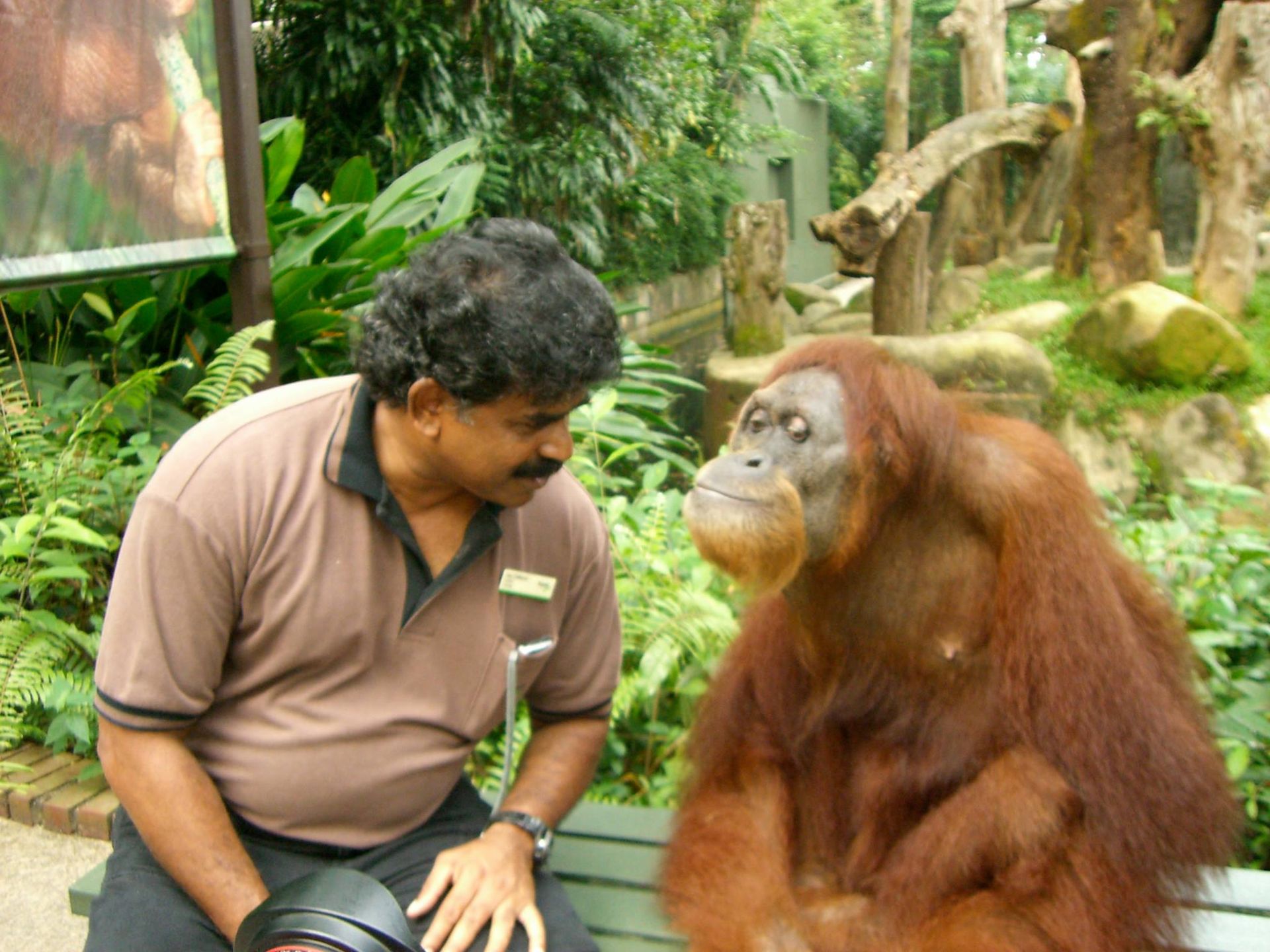 world's First Nocturnal Zoo, world record in Singapore