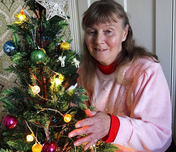 Oldest Christmas tree lights: 42 year old fairy lights sets world record Oldest Christmas tree lights: 42 year old fairy lights sets world record