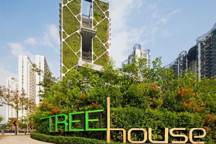 Largest vertical garden: Singapore breaks Guinness World Records' record (VIDEO) 