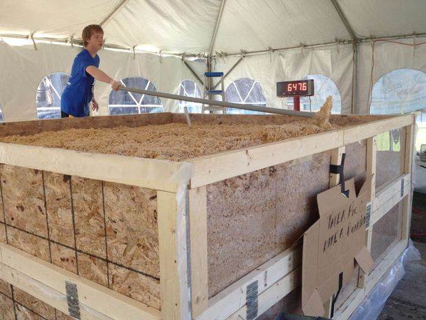 Largest Rice Krispie treat: UW-Madison students break Guinness World Records record (VIDEO)
