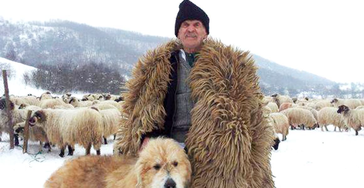 World's longest career as a shepherd, world record in Romania