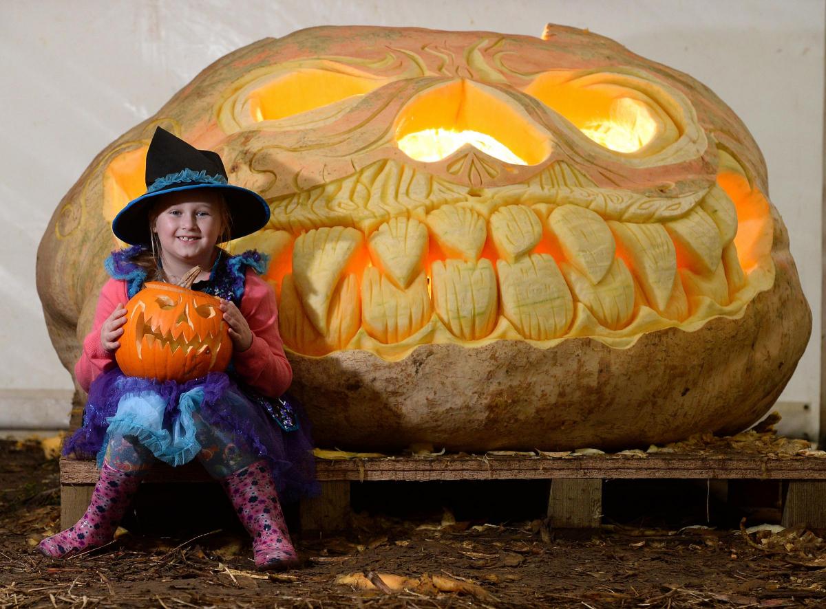 Largest Jack O'Lantern world record: York Maze