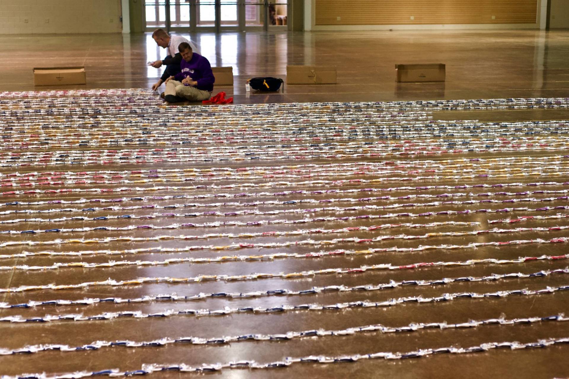 Longest line of toothbrushes: Sharon Lipinski and Christine Forster