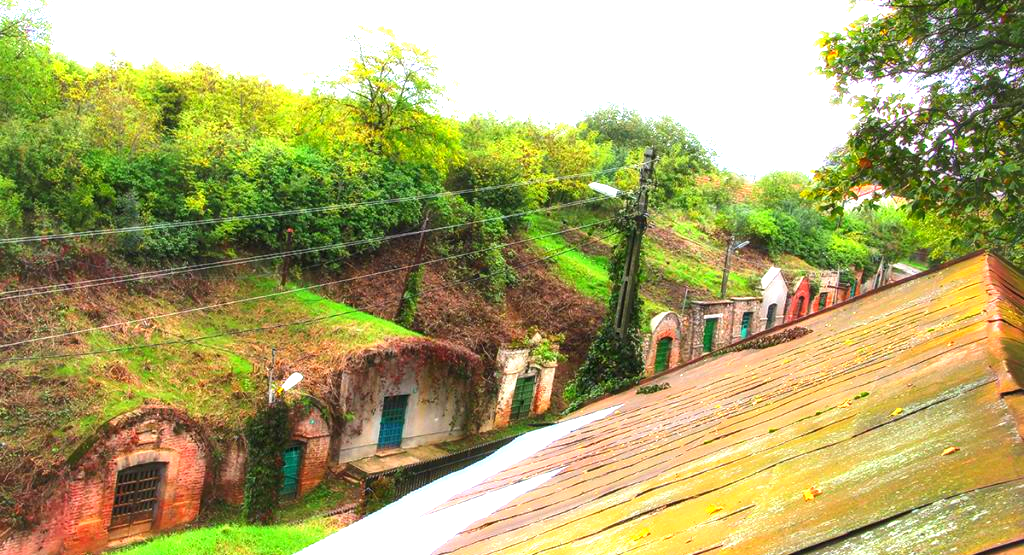 
Most cellars in a village: Salacea village sets world record