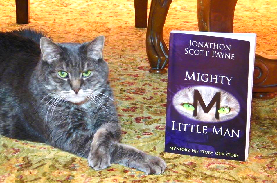 Most Survivable Cat: 'Little Man' sets world record (VIDEO) 