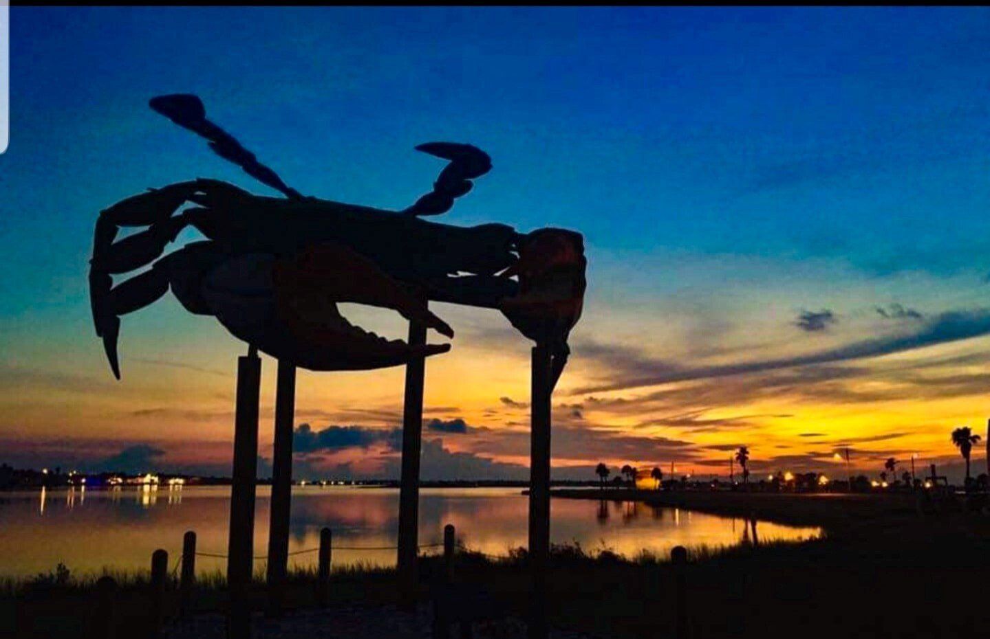 World’s Largest Blue Crab: Rockport, Texas, sets world record