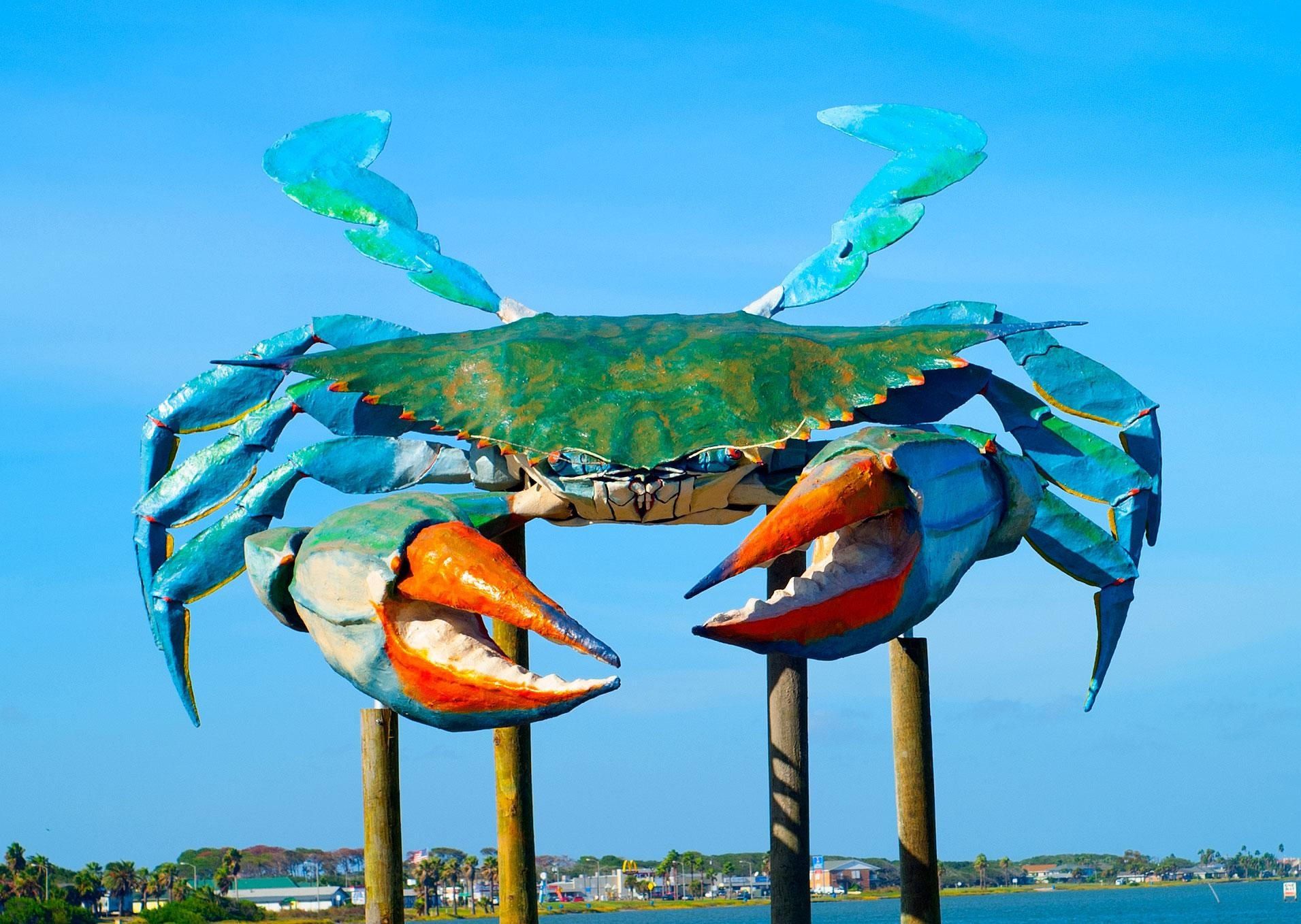 
World’s Largest Blue Crab: Rockport, Texas, sets world record
