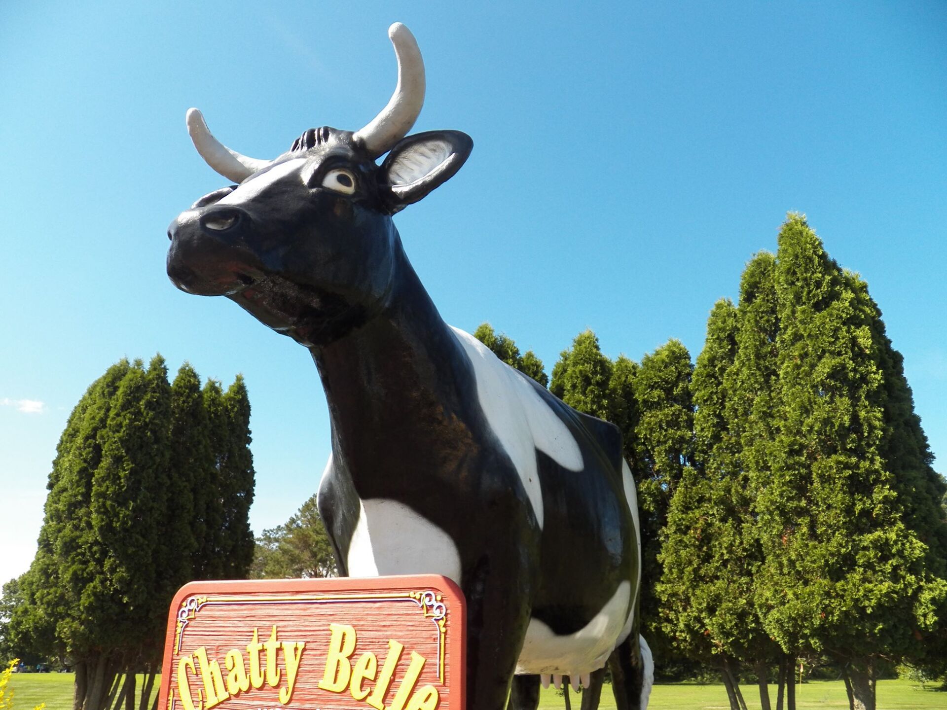 World's Largest Talking Cow: world record set in  Neillsville, Wisconsin
