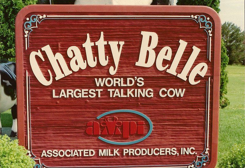 World's Largest Talking Cow: world record set in  Neillsville, Wisconsin