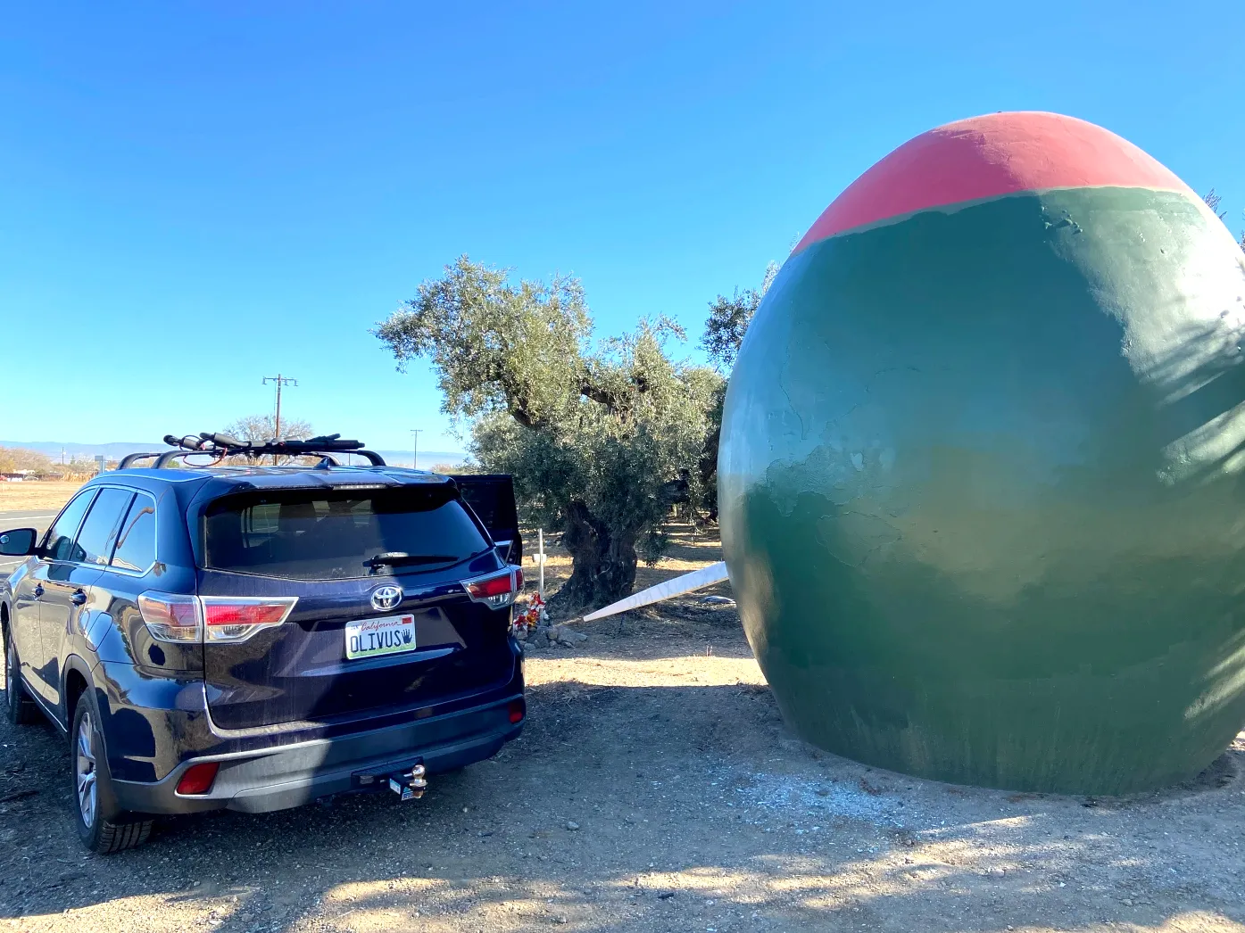 World's largest green olive: world record set in Corning, California World's largest green olive: world record set in Corning, California