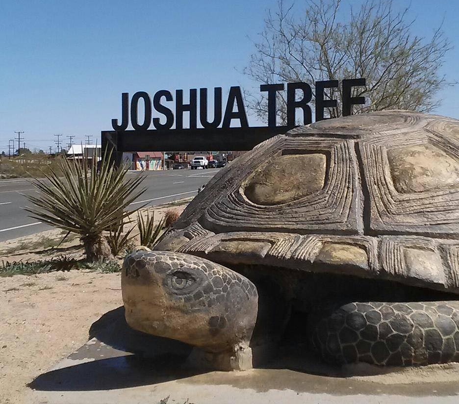 World's Largest Desert Tortoise Sculpture: world record set in Joshua Tree, California World's Largest Desert Tortoise Sculpture: world record set in Joshua Tree, California