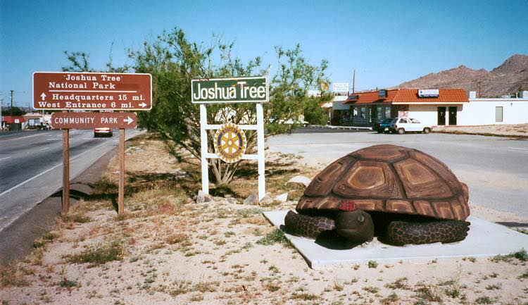 World's Largest Desert Tortoise Sculpture: world record set in Joshua Tree, California World's Largest Desert Tortoise Sculpture: world record set in Joshua Tree, California
