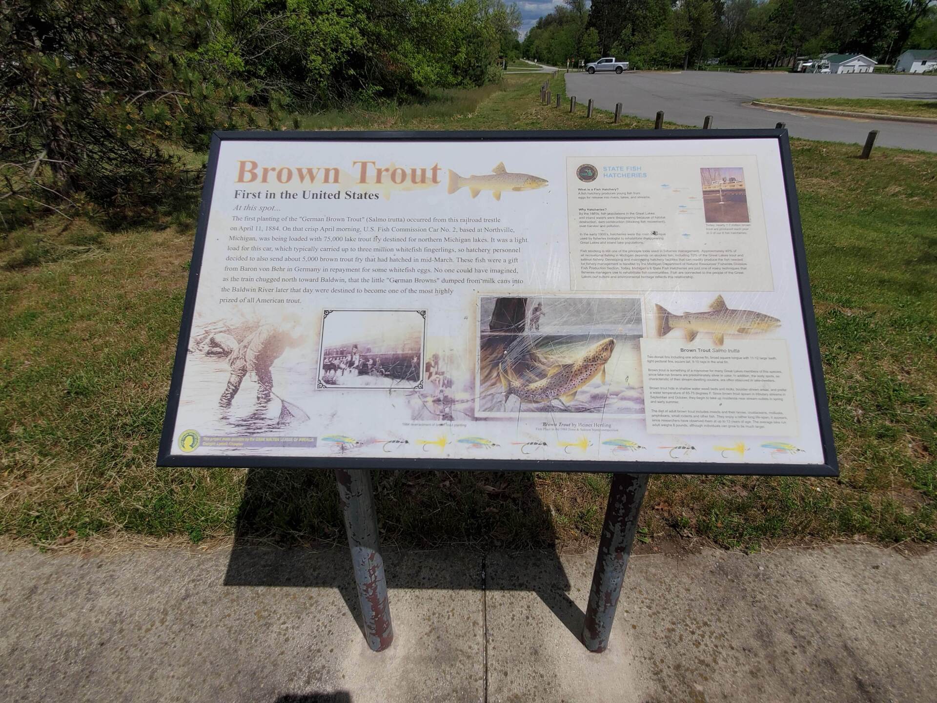 World’s Largest Brown Trout Sculpture: world record in Baldwin, Michigan