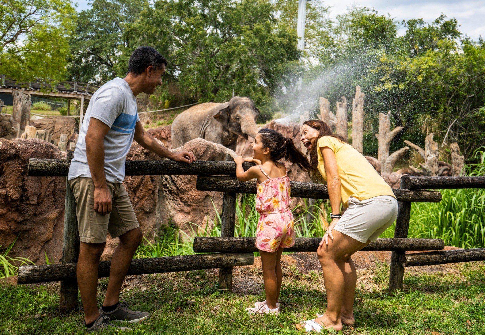 World’s Most Expensive Theme Park: world record in Tampa, Florida
