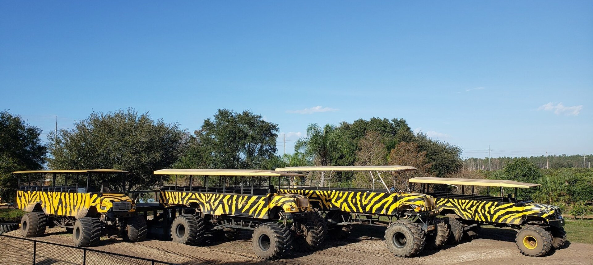 World's Largest Monster Truck Safari: world record in Clermont, Florida