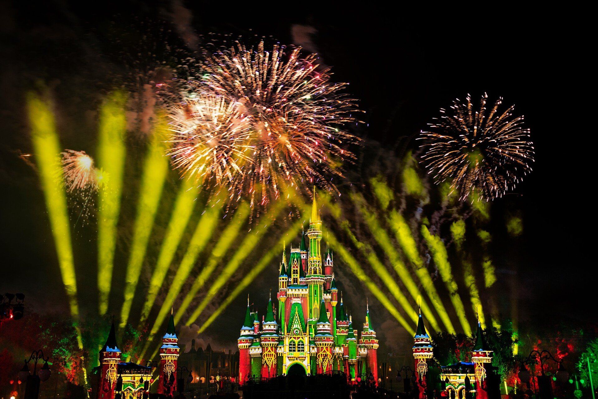 World's Most Visited Vacation Resort: world record set by The Walt Disney World Resort