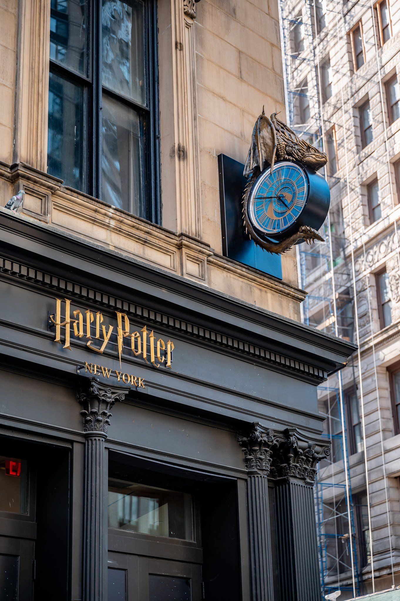 World's Biggest Harry Potter Store: world record in New York City, New York