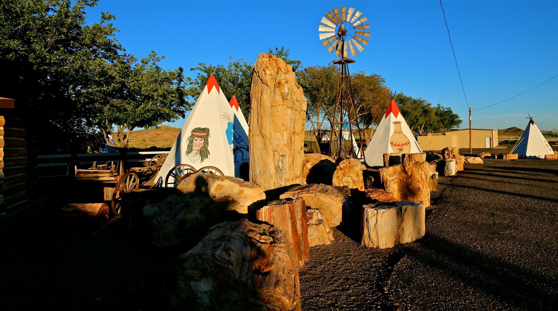 
World's Largest Petrified Tree: world record in Holbrook, Arizona