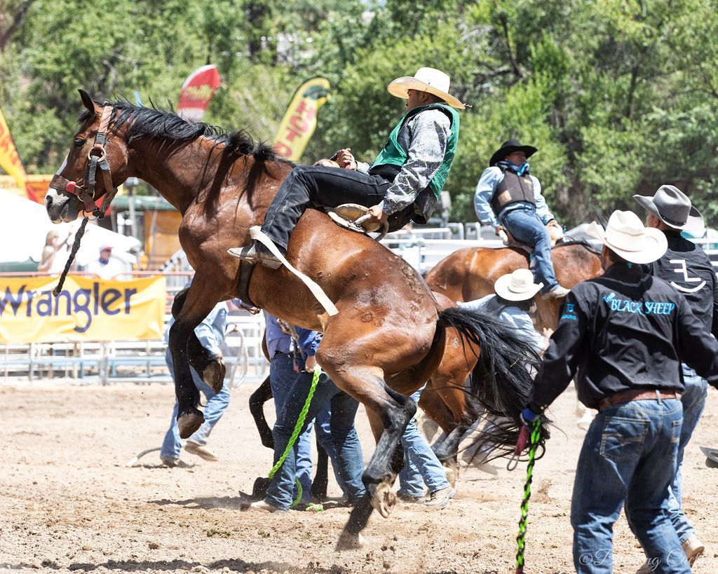 World's Oldest Rodeo: world record in Prescott, Arizona