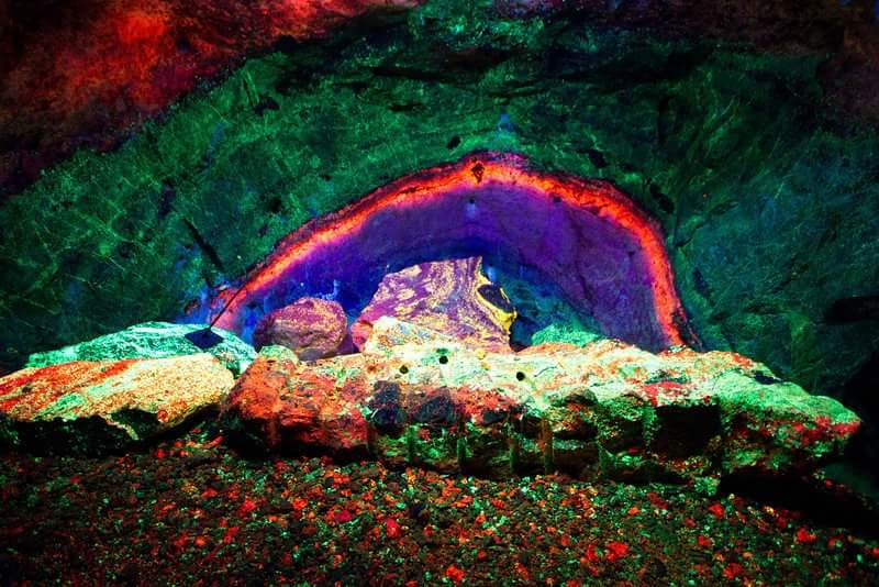 World’s Largest Collection of Fluorescent Rocks: world record in Ogdensburg, New Jersey
