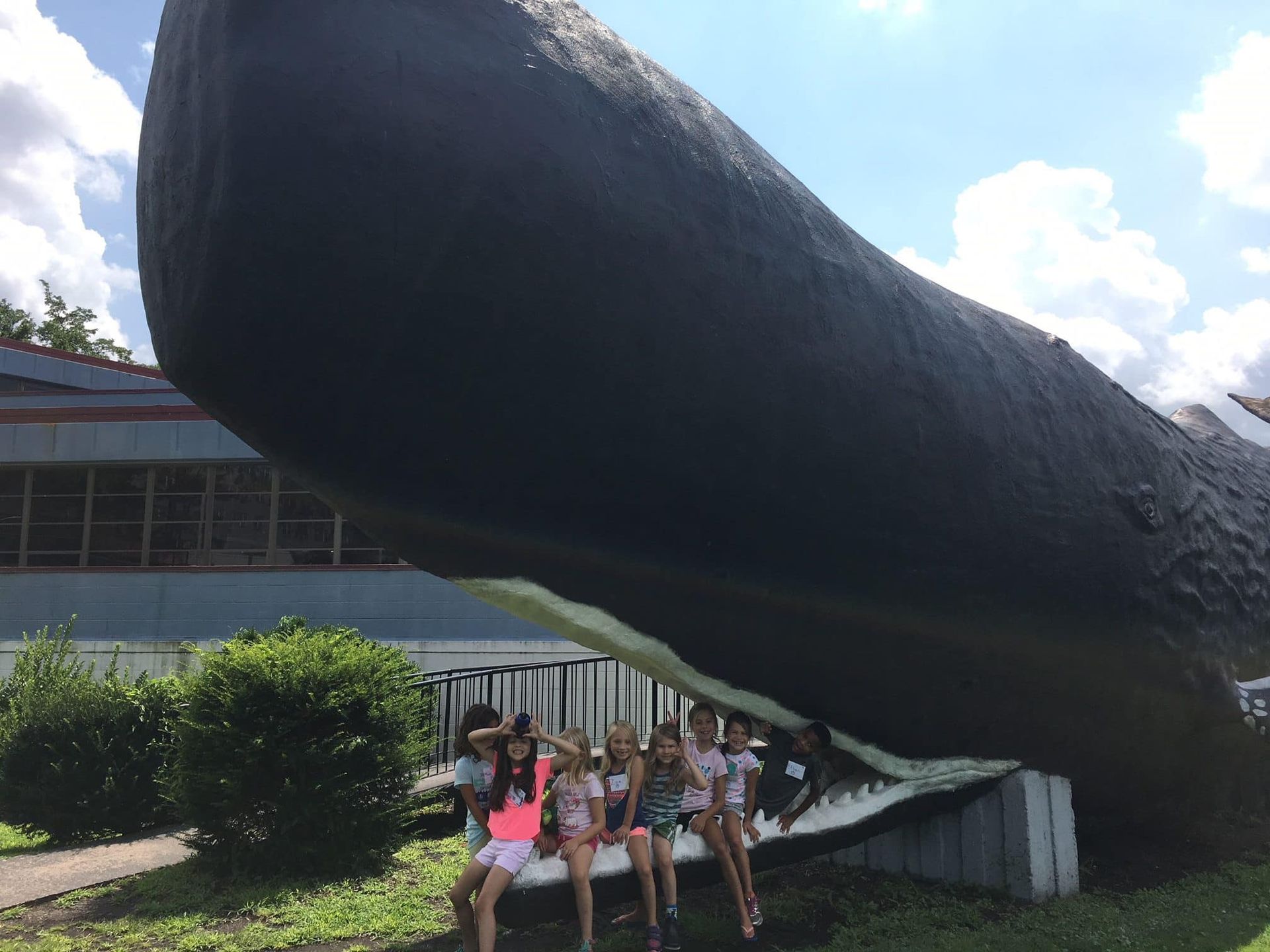 World's Biggest Sperm Whale Sculpture: world record in Hartford, Connecticut World's Biggest Sperm Whale Sculpture: world record in Hartford, Connecticut