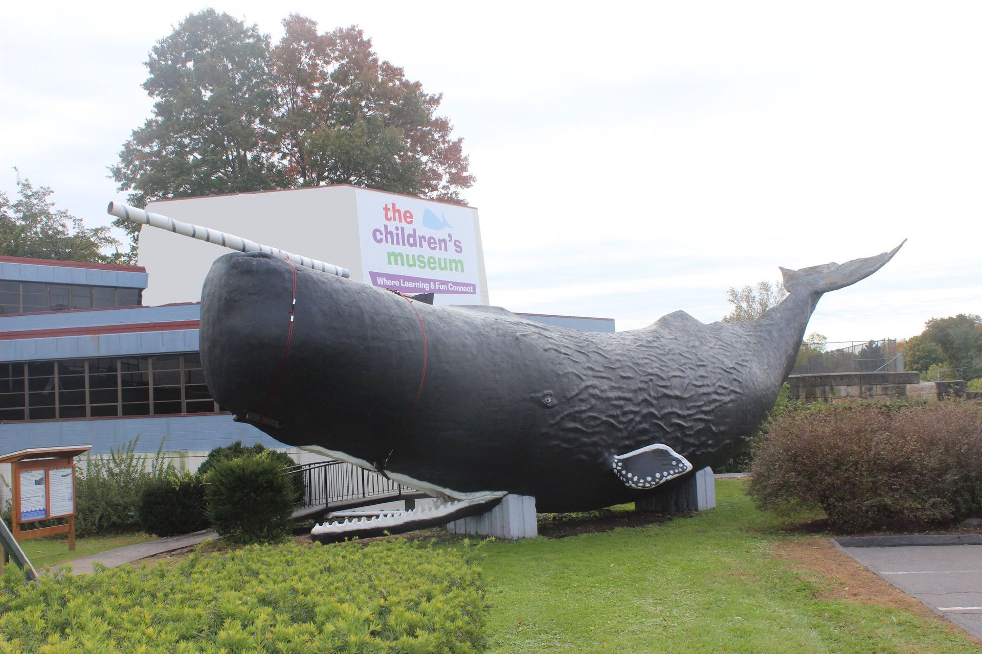 World's Biggest Sperm Whale Sculpture: world record in Hartford, Connecticut World's Biggest Sperm Whale Sculpture: world record in Hartford, Connecticut