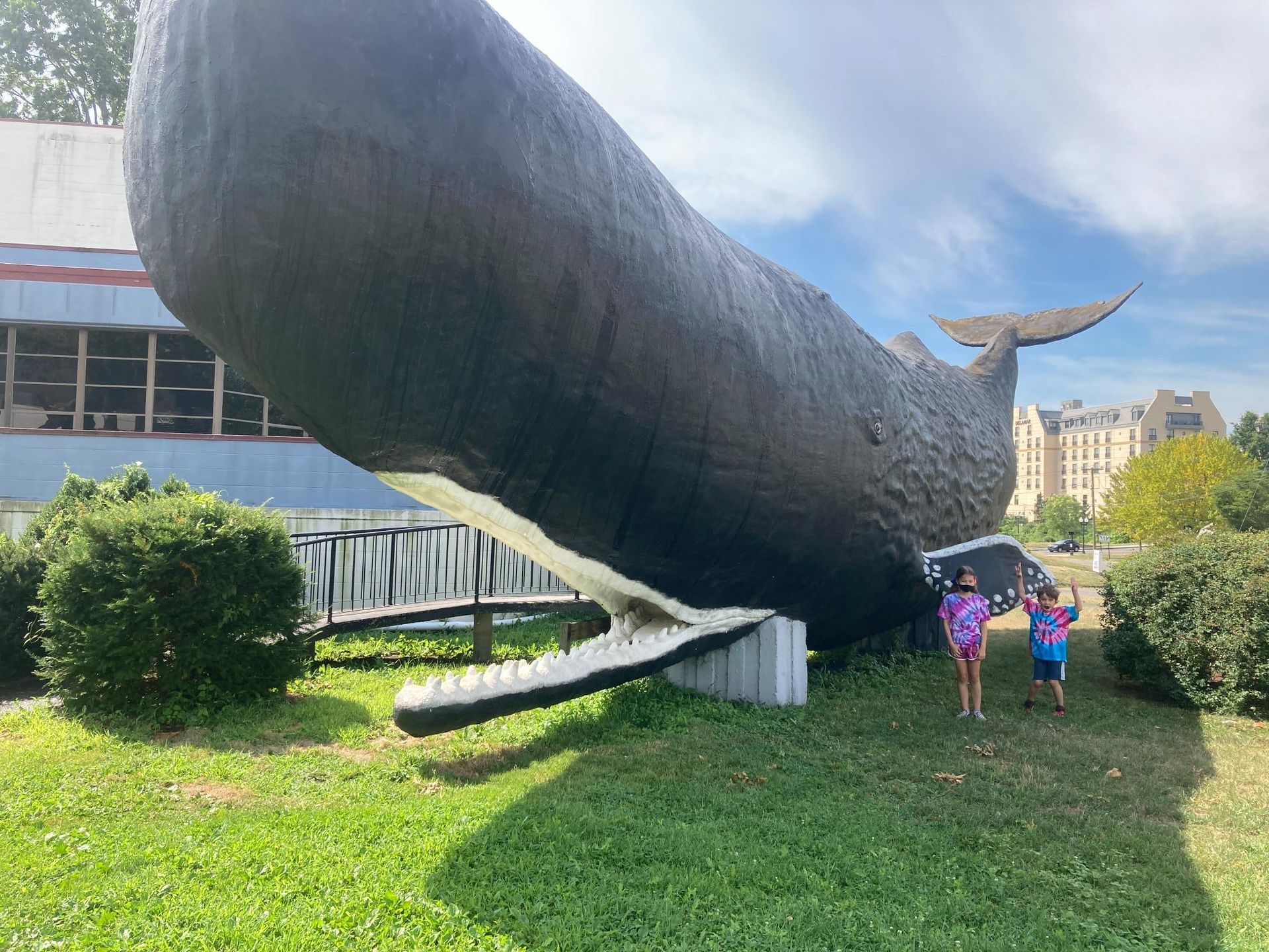World's Biggest Sperm Whale Sculpture: world record in Hartford, Connecticut World's Biggest Sperm Whale Sculpture: world record in Hartford, Connecticut