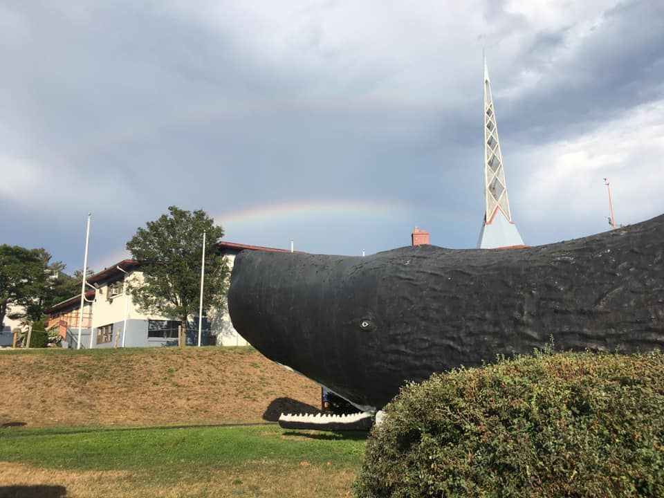 World's Biggest Sperm Whale Sculpture: world record in Hartford, Connecticut World's Biggest Sperm Whale Sculpture: world record in Hartford, Connecticut