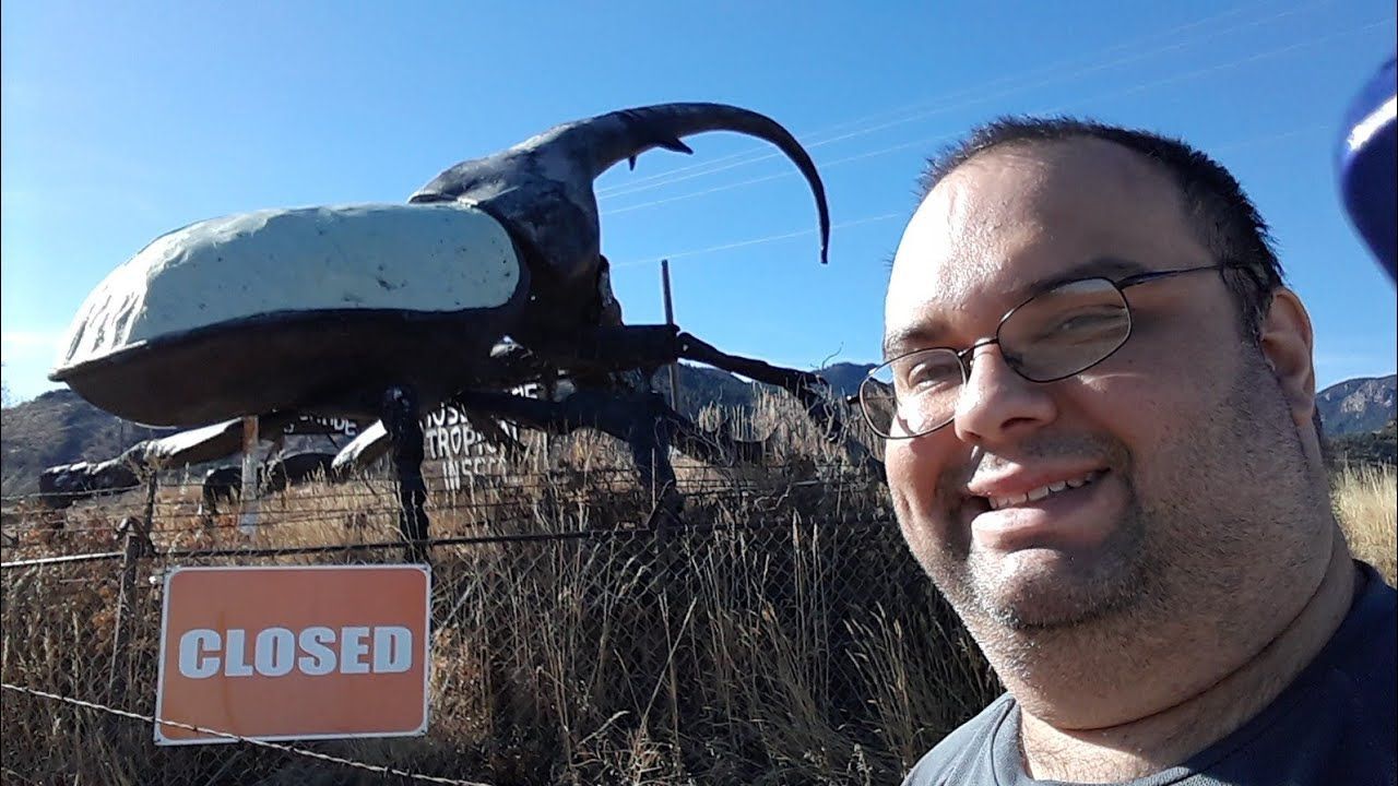 World’s Largest Beetle Statue: world record in Colorado Springs, Colorado