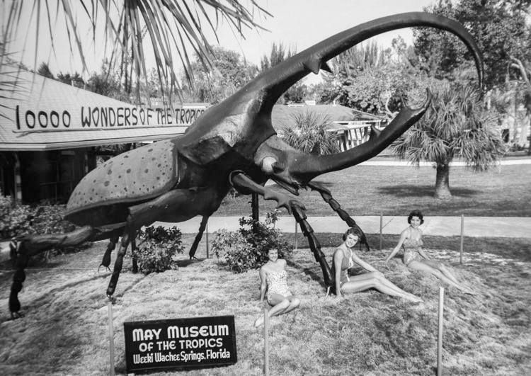 World’s Largest Beetle Statue: world record in Colorado Springs, Colorado
