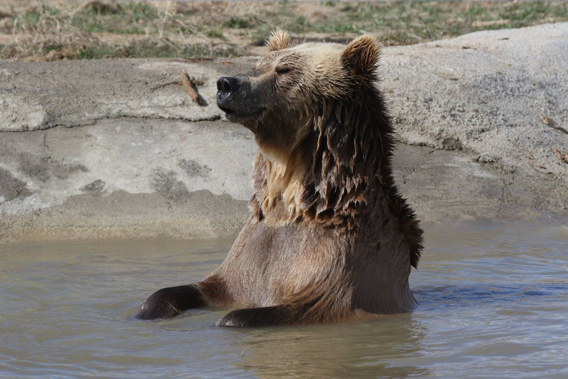 World's Largest Carnivore Sanctuary: world record in Keenesburg, Colorado