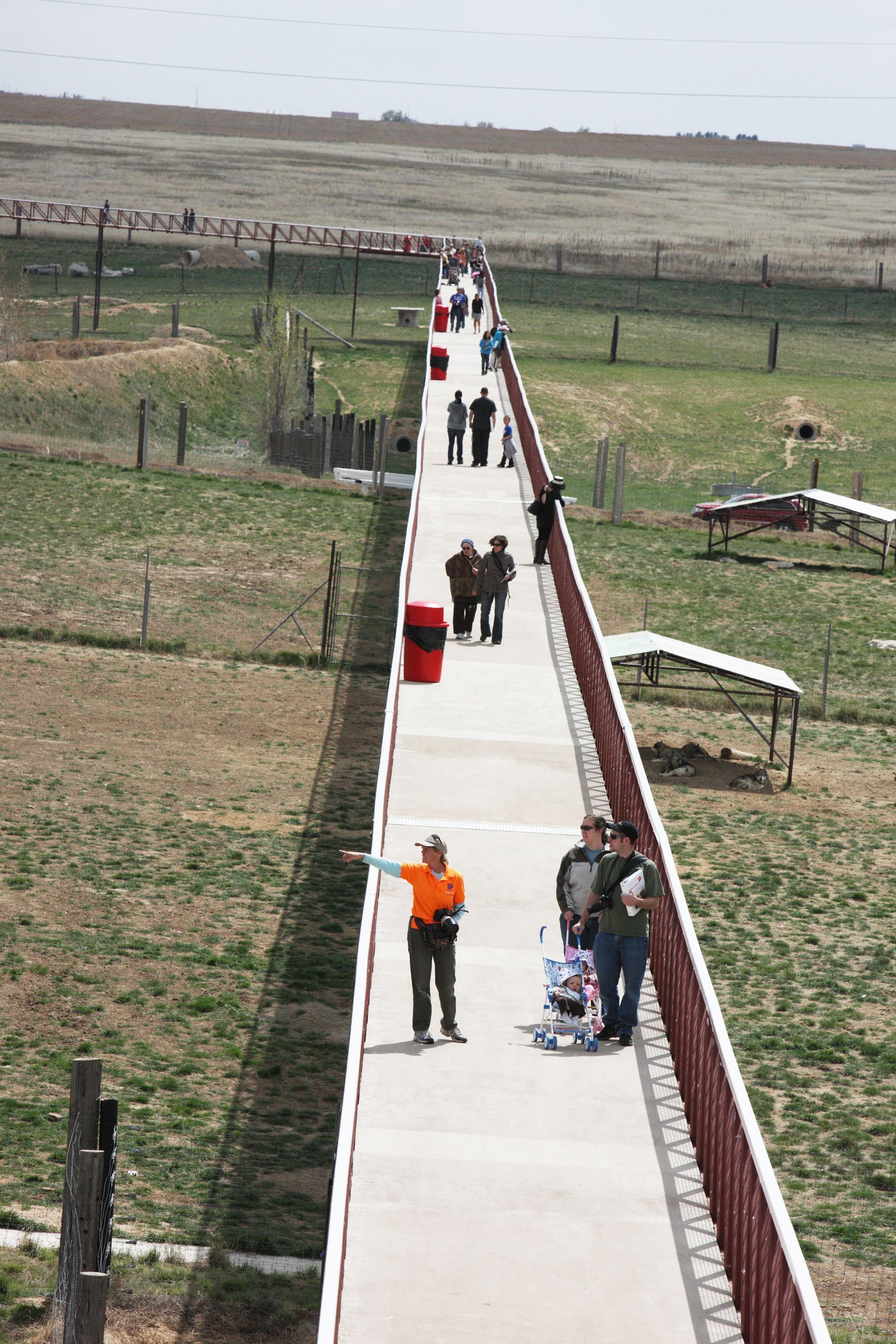 World's Largest Carnivore Sanctuary: world record in Keenesburg, Colorado