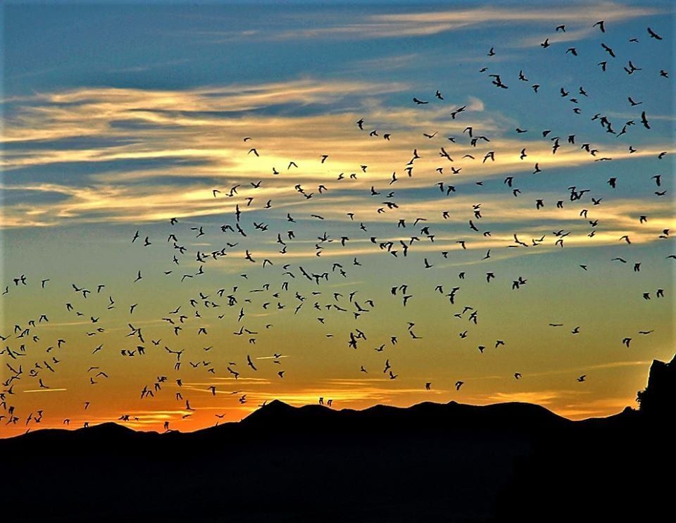 World's Largest Alpine Valley: The San Luis Valley in Colorado sets world record