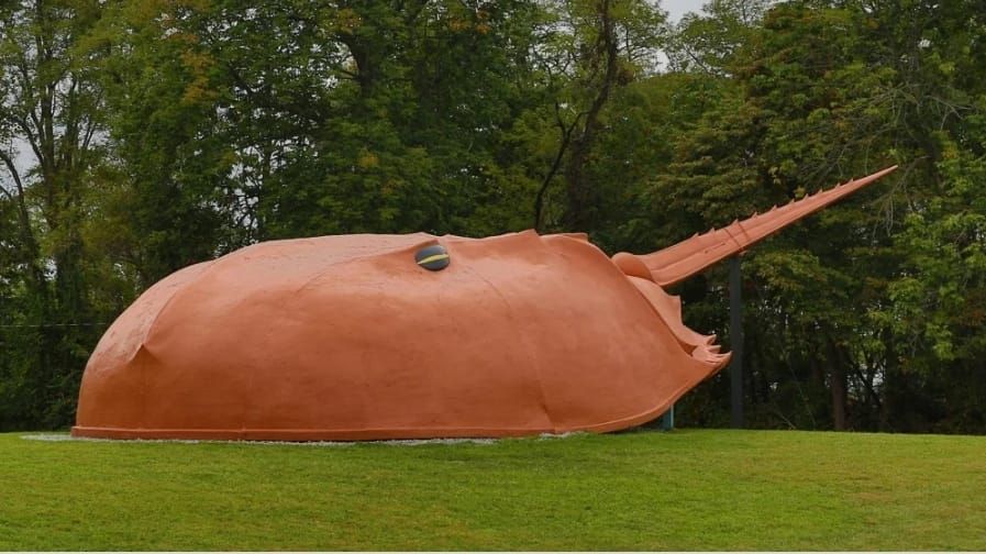 World’s Largest Horseshoe Crab Sculpture: world record in Hillsboro, Ohio
