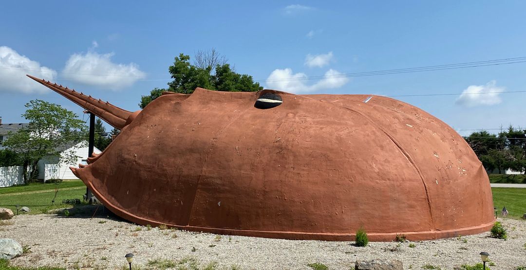 World’s Largest Horseshoe Crab Sculpture: world record in Hillsboro, Ohio
