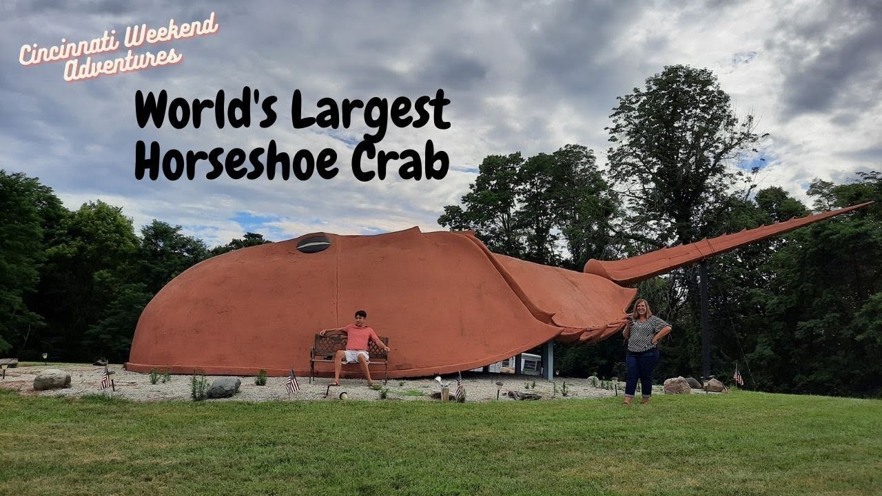 World’s Largest Horseshoe Crab Sculpture: world record in Hillsboro, Ohio
