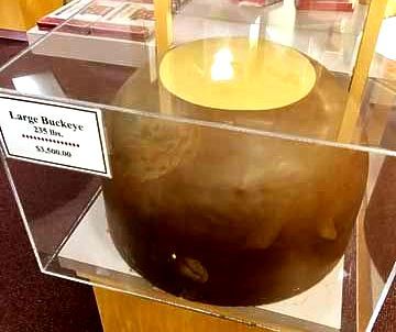 World’s Largest Buckeye Candy: world record in Columbus, Ohio World’s Largest Buckeye Candy: world record in Columbus, Ohio