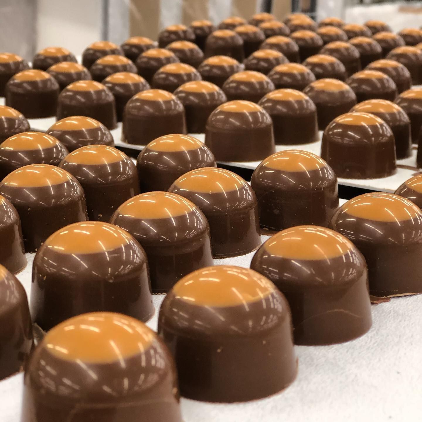 World’s Largest Buckeye Candy: world record in Columbus, Ohio World’s Largest Buckeye Candy: world record in Columbus, Ohio