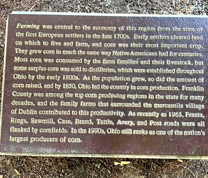 World's Largest Field Of Corn Cobs Sculptures: world record in Dublin, Ohio World's Largest Field Of Corn Cobs Sculptures: world record in Dublin, Ohio