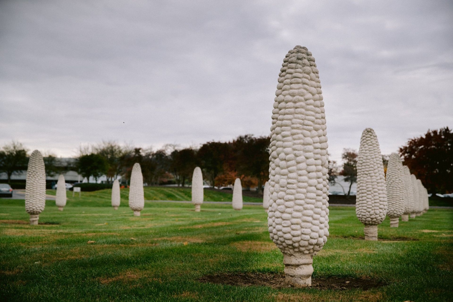 World's Largest Field Of Corn Cobs Sculptures: world record in Dublin, Ohio World's Largest Field Of Corn Cobs Sculptures: world record in Dublin, Ohio