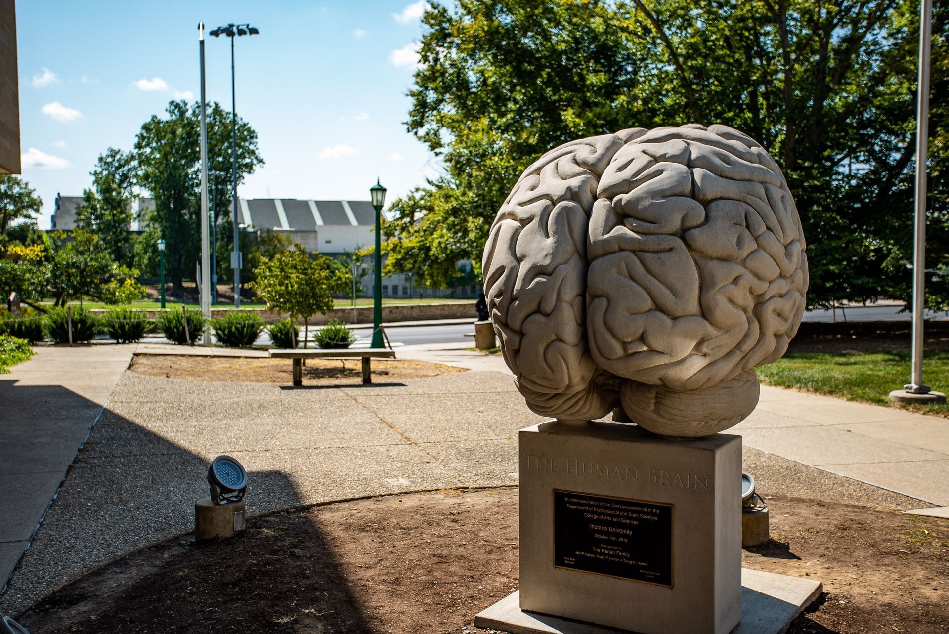 World's largest anatomically-accurate brain sculpture: Bloomington, Indiana