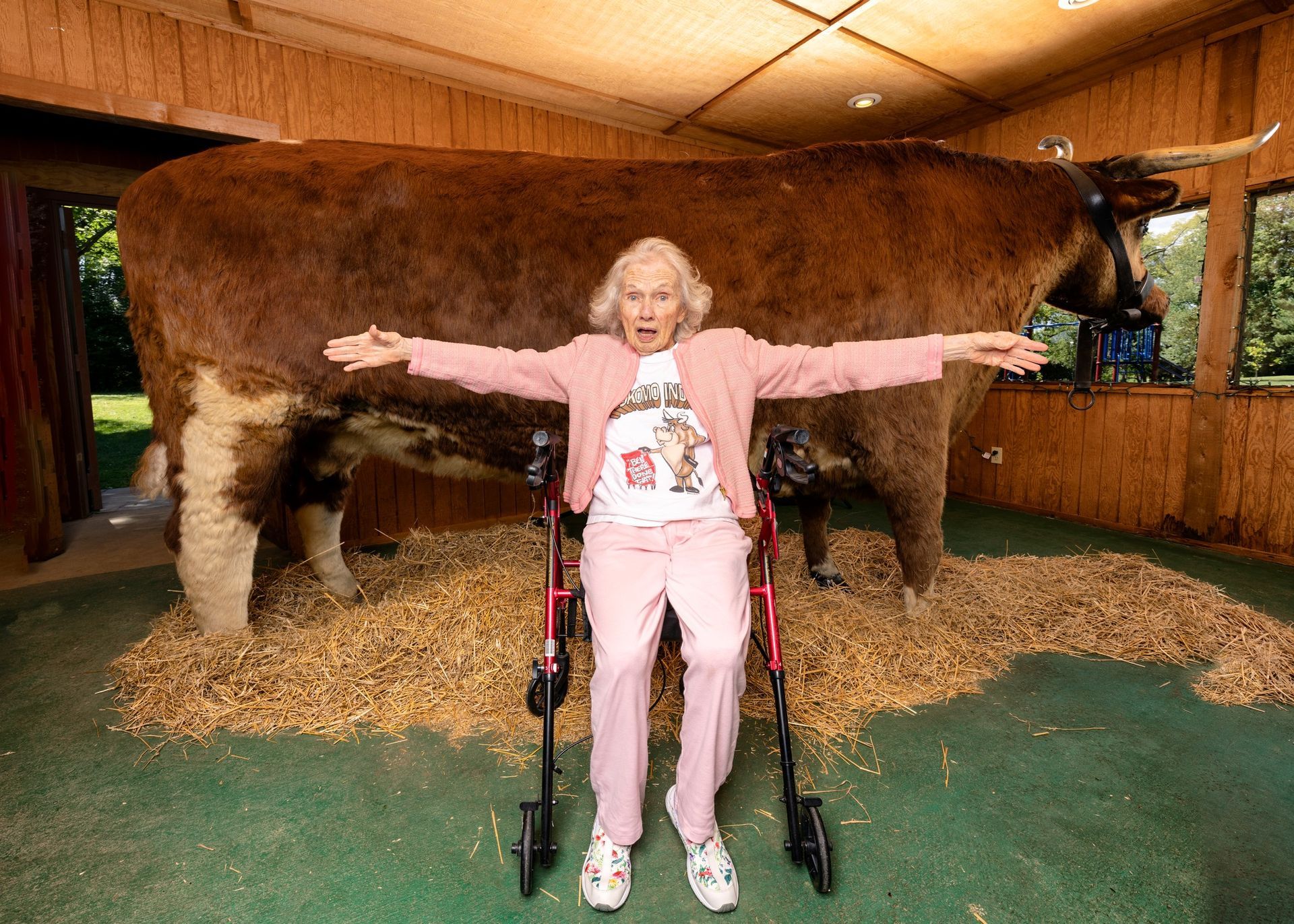  World's Largest Preserved Steer: world record in Kokomo, Indiana