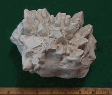 World’s Heaviest Hailstone On Display: world record in Coffeyville, Kansas