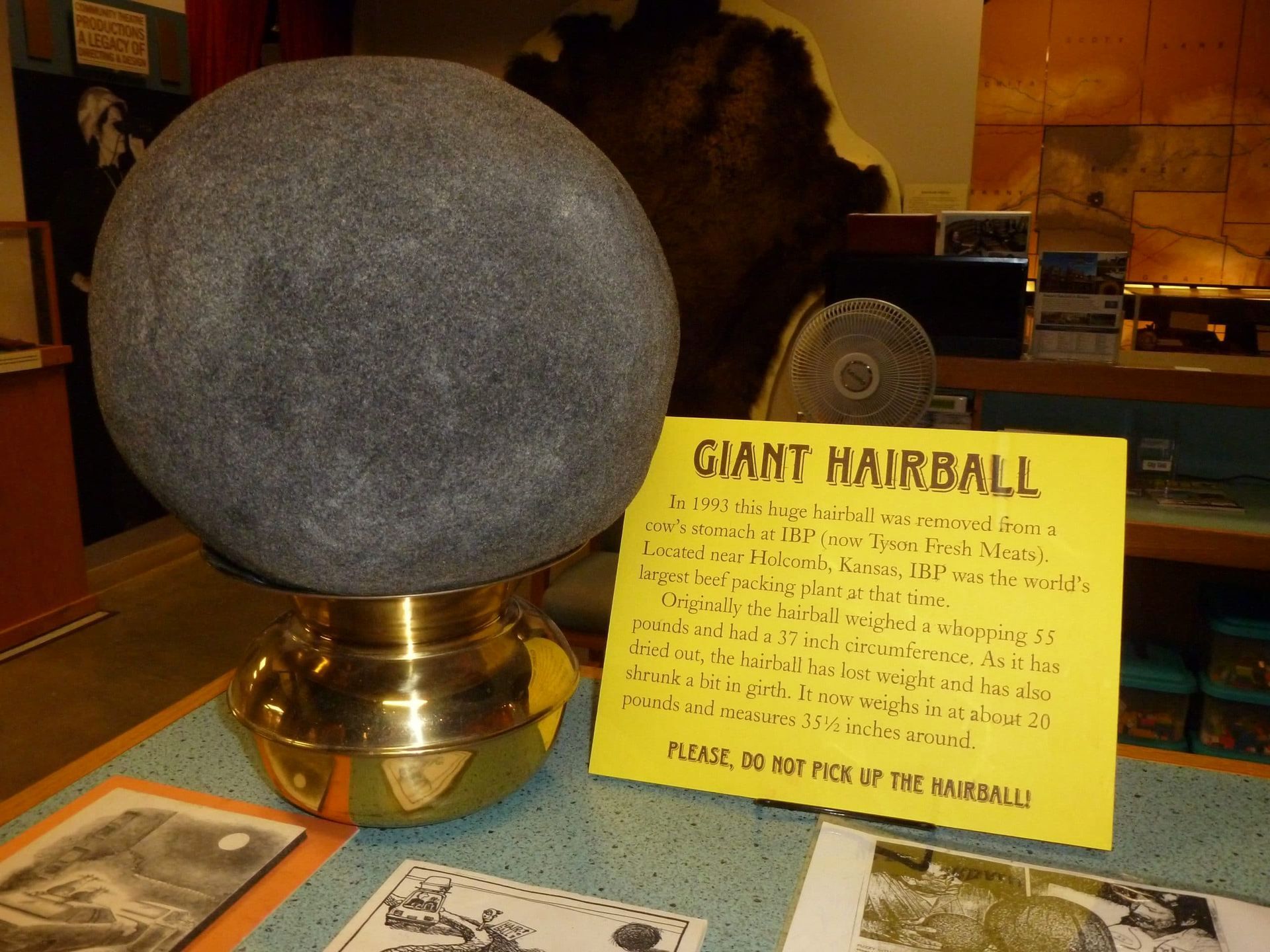 World's Largest Cow Hairball: world record in Garden City, Kansas
