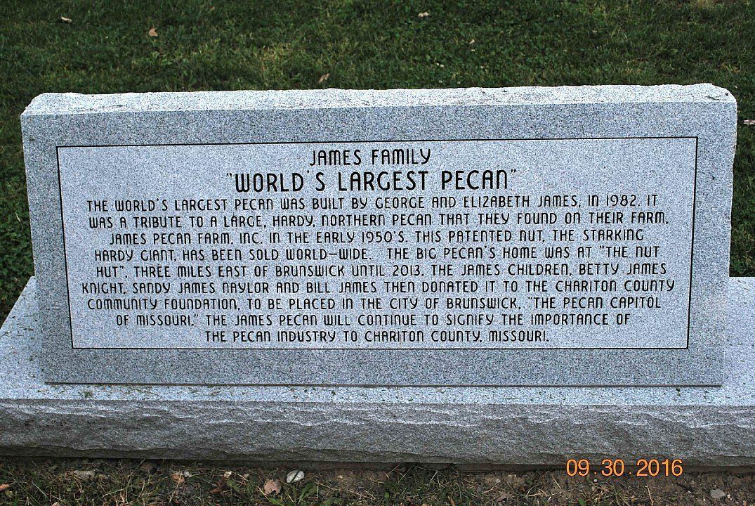 World's Largest Pecan Replica Sculpture: world record in Brunswick, Missouri World's Largest Pecan Replica Sculpture: world record in Brunswick, Missouri